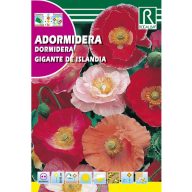 Isländischer Mohn Rocalba 1 g