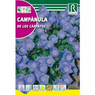 Karpatenglockenblume Rocalba 1 g