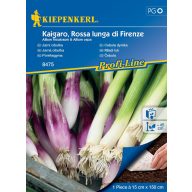 Zwiebelmischung Samenmatte Kipenkerl 15cmx150 cm