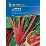 Mangold Rhabarber-Mangold-Kiepenkerl ca. 50 Stück