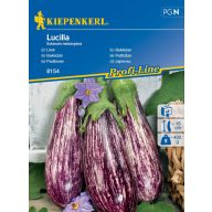 Aubergine Lucilla Kiepenkerl 8 Stück