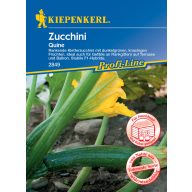 Zucchini Quine Kiepenkerl 6 Stück