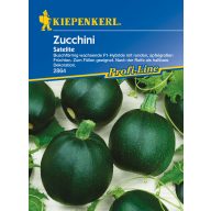 Runde Zucchini Satelite Kiepenkerl 5 Stück