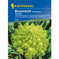   Pagode (Romanesco) Blumenkohl Veronica F1 Kiepenkerl 30 Stück