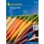 Karotte Harlequin Mix F1 Saatgutstreifen Kiepenkerl 5 m