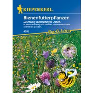   Bienenzucht (mehrjährige Saatgutmischung) Kiepenkerll 5-8 m2