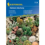   Kakteen - eine Mischung aus beliebten Sorten Kiepenkerl 20 Stück