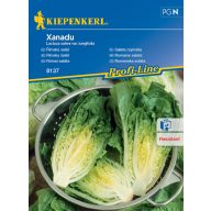 Römischer Salat Xanadu 80 Stück Kiepenkerl