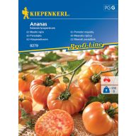 Fleischtomaten Ananas Kiepenkerl 10 Stück
