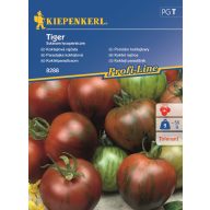 Cocktailtomaten Tiger Kiepenkerl 5 Stück