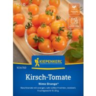 Kirschtomaten Nimo Orange Kiepenkerl 5 Stück