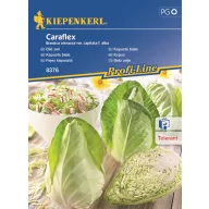 Kraut Caraflex F1 Kiepenkerl 20 Stück