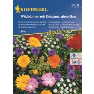 Wildblumensamenmischung Kiepenkerl für 2-3 m2