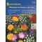 Wildblumensamenmischung Kiepenkerl für 2-3 m2