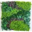 Grüne Wand mit gemischten Blättern Vertikale Costa 1mx1m