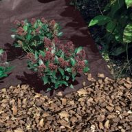 Bodendecker Antiherbas Geotex 80 g/m2 braun 1,6x10m