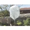 Überwinterungsfilz Wintertex 30 30g/m2 2x5 m
