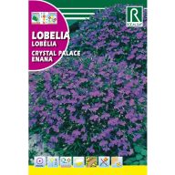 Lobelia Kristallpalast Rocalba 0,5 g