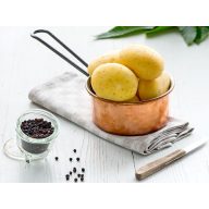   Kartoffelsamen Knolle Lower Carb "Coronada" 50 Stück