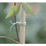 R-FIX-Binder zur Befestigung von Läuferpflanzen 50m