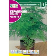 Spargel 0,5g Rocalba