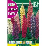   Waldlupine Farbmischung (Lupino de russel hybrido) 4g Rocalba