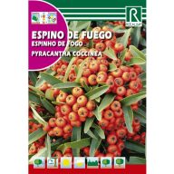 Feuerkraut (Espino del fuego) 1g Rocalba
