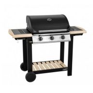 Garten Gasgrill Brennholz 3 Hecht