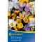 Zwiebel Botanical Kokosnuss Farbmischung 20 Stück Kiepenkerl