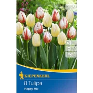 Blumenzwiebel Tulpe Happy mix 8 Stück Kiepenkerl