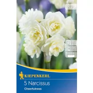 Zwiebel Narzisse Fröhlichkeit 5 Stück Kiepenkerl