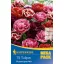 Zwiebel Tulpe Tulpe Mega Pack Rose Tulpe Mix 15 Stück Kiepenkerl