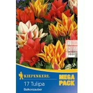 Zwiebel Tulpe Mega Pack Balkonzauber 17 Stück Kiepenkerl