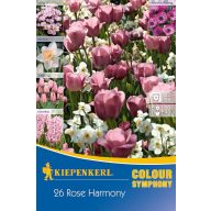   Colour Symphony Mega Pack Rose Harmony 26 Blumenzwiebeln Kiepenkerl