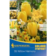   Colour Symphony Mega Pack Yellow Harmony 26 Glühbirnen Kiepenkerl
