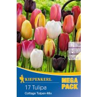   Blumenzwiebel Tulpe Mega Pack Cottage Mix 17 Stück Kiepenkerl