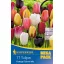 Blumenzwiebel Tulpe Mega Pack Cottage Mix 17 Stück Kiepenkerl