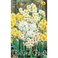   Blumenzwiebeln Narzissenstrauß Farbmischung 8 Stück Garten Saatgut von Rédei