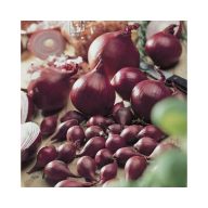 Zwiebeln Rotkohl 14-19 mm 250 g VM