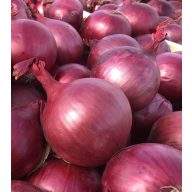 Zwiebel Akado F1 Herbst 250g