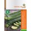 Zucchini Terminator F1 2g Royal Sluis