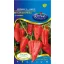 Paprika Székely F1 (caperia) 20 Samen