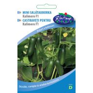 Gurke mini snack Kalimero F1 10 Samen Urban gardener Serie