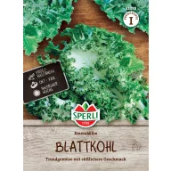 Fodros Grünkohl Emerald Ice 20 Körner Sperli