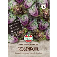 Gelockter Rosenkohl Autumn Star 20 Körner Sperli