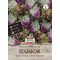 Gelockter Rosenkohl Autumn Star 20 Körner Sperli
