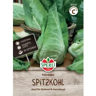 Kopfkohl Spitzkohl Fielderkraut 120 Körner Sperli
