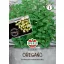 Oregano Trio Getrocknete Samen Simply Herbs 15 Samen Sperli