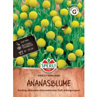   Ananasblüte (Gummibärchen) Süßer Duft (ca. 15 Samen) Sperber