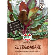 Zwergbanane Coco 4 Körner Sperli
